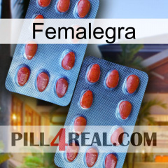 Femalegra 05